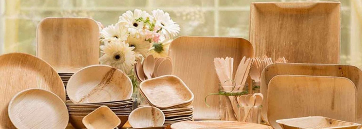 The Areca Nut Leaf Products