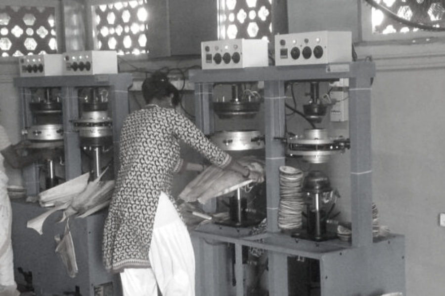 Growth of the areca plate industry will boost the rural economy.